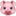 🐷